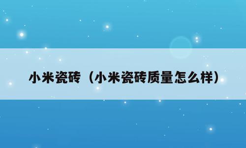小米瓷砖（小米瓷砖质量怎么样）