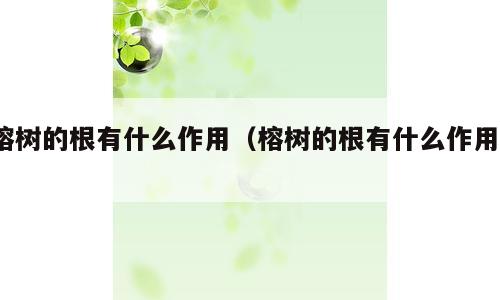 榕树的根有什么作用（榕树的根有什么作用?）