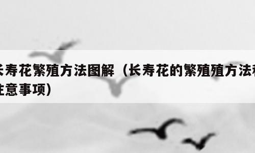 长寿花繁殖方法图解（长寿花的繁殖殖方法和注意事项）