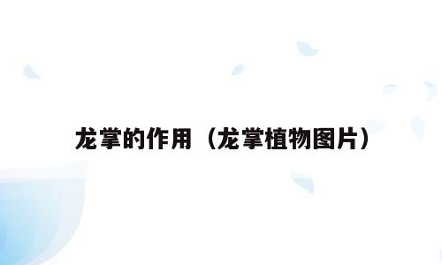 龙掌的作用（龙掌植物图片）