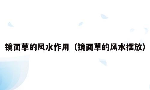 镜面草的风水作用（镜面草的风水摆放）