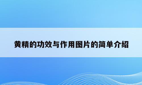 黄精的功效与作用图片的简单介绍
