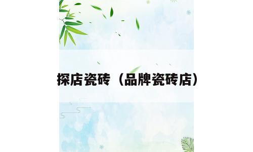 探店瓷砖（品牌瓷砖店）