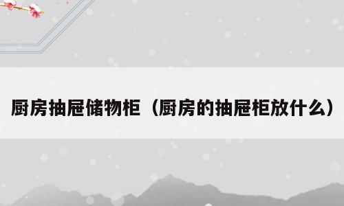 厨房抽屉储物柜（厨房的抽屉柜放什么）