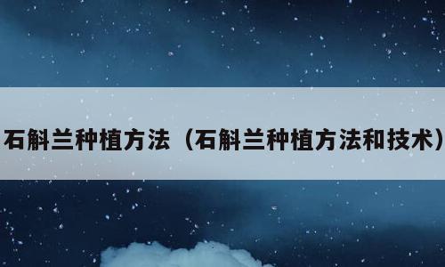 石斛兰种植方法（石斛兰种植方法和技术）