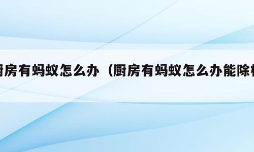 厨房有蚂蚁怎么办（厨房有蚂蚁怎么办能除根）