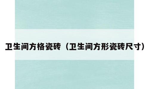卫生间方格瓷砖（卫生间方形瓷砖尺寸）