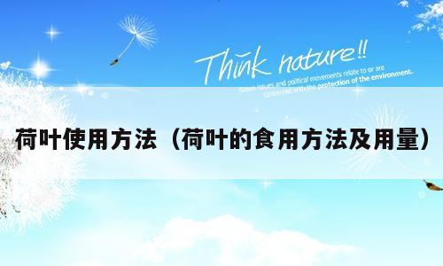 荷叶使用方法（荷叶的食用方法及用量）