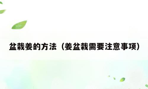 盆栽姜的方法（姜盆栽需要注意事项）