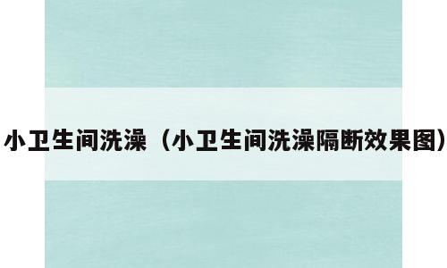 小卫生间洗澡（小卫生间洗澡隔断效果图）