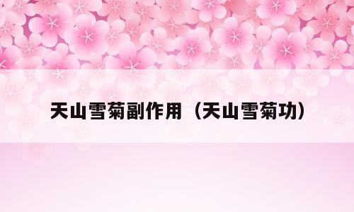 天山雪菊副作用（天山雪菊功）