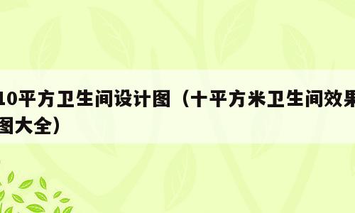 10平方卫生间设计图（十平方米卫生间效果图大全）