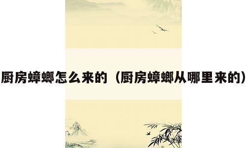 厨房蟑螂怎么来的（厨房蟑螂从哪里来的）