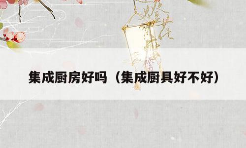 集成厨房好吗（集成厨具好不好）