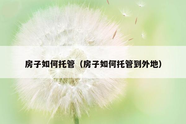 房子如何托管（房子如何托管到外地）