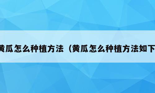 黄瓜怎么种植方法（黄瓜怎么种植方法如下）