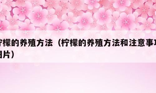 柠檬的养殖方法（柠檬的养殖方法和注意事项图片）