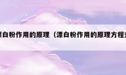 漂白粉作用的原理（漂白粉作用的原理方程式）