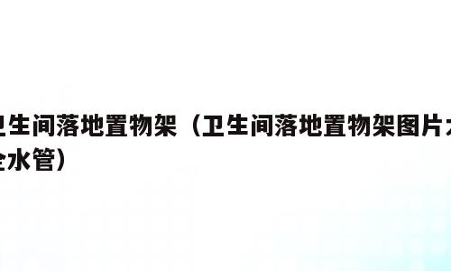 卫生间落地置物架（卫生间落地置物架图片大全水管）