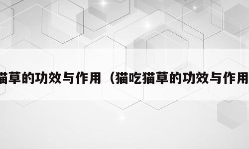猫草的功效与作用（猫吃猫草的功效与作用）