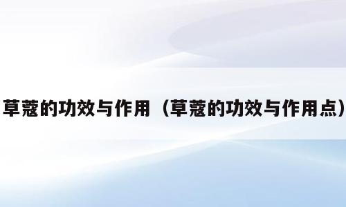 草蔻的功效与作用（草蔻的功效与作用点）