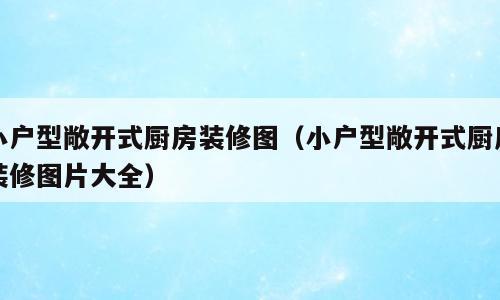 小户型敞开式厨房装修图（小户型敞开式厨房装修图片大全）