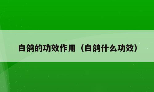 白鸽的功效作用（白鸽什么功效）