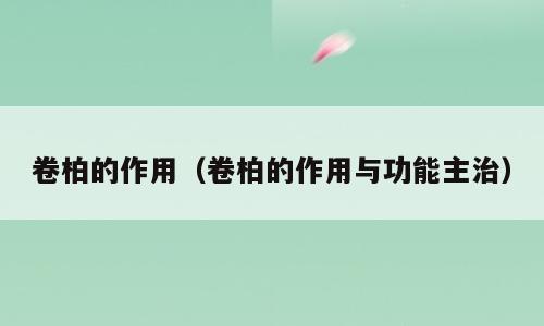 卷柏的作用（卷柏的作用与功能主治）