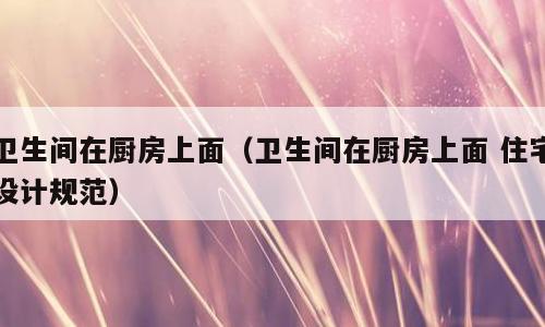 卫生间在厨房上面（卫生间在厨房上面 住宅设计规范）
