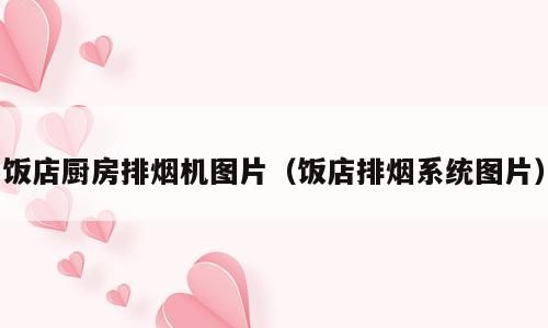 饭店厨房排烟机图片（饭店排烟系统图片）