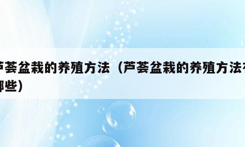 芦荟盆栽的养殖方法（芦荟盆栽的养殖方法有哪些）