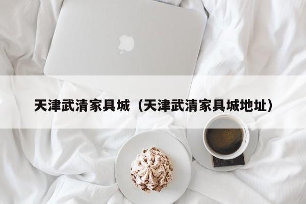 天津武清家具城（天津武清家具城地址）
