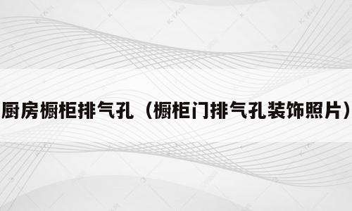 厨房橱柜排气孔（橱柜门排气孔装饰照片）
