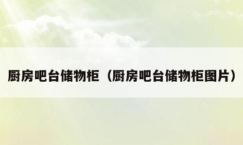厨房吧台储物柜（厨房吧台储物柜图片）