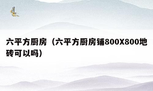 六平方厨房（六平方厨房铺800X800地砖可以吗）