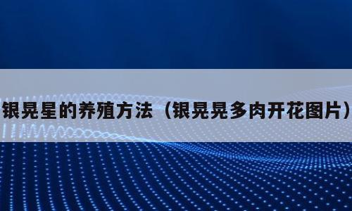 银晃星的养殖方法（银晃晃多肉开花图片）