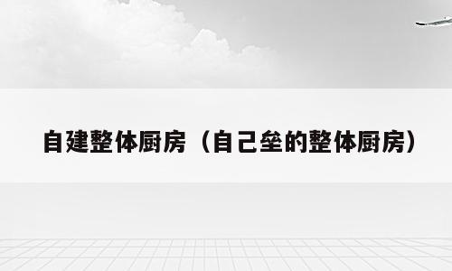 自建整体厨房（自己垒的整体厨房）