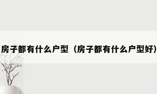 房子都有什么户型（房子都有什么户型好）