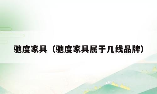 驰度家具（驰度家具属于几线品牌）