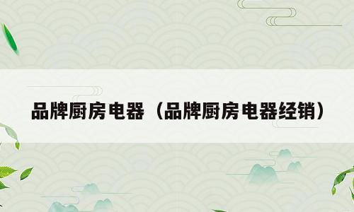 品牌厨房电器（品牌厨房电器经销）