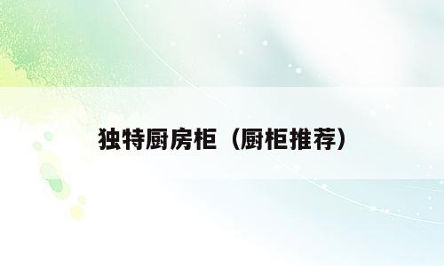 独特厨房柜（厨柜推荐）