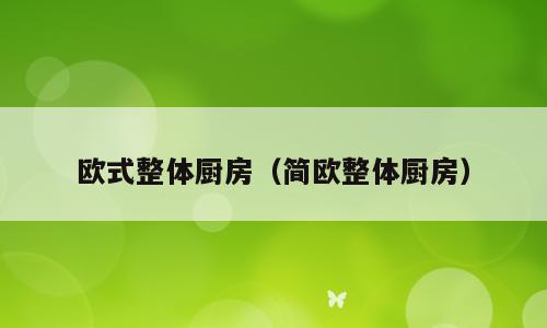 欧式整体厨房（简欧整体厨房）
