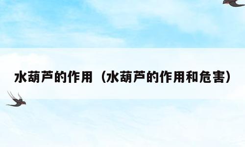 水葫芦的作用（水葫芦的作用和危害）