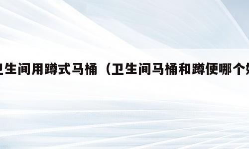 卫生间用蹲式马桶（卫生间马桶和蹲便哪个好）