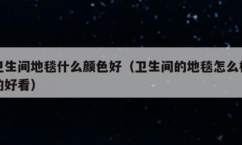 卫生间地毯什么颜色好（卫生间的地毯怎么样的好看）