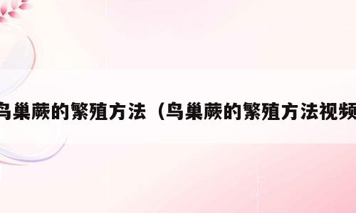 鸟巢蕨的繁殖方法（鸟巢蕨的繁殖方法视频）