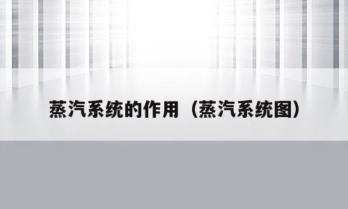 蒸汽系统的作用（蒸汽系统图）