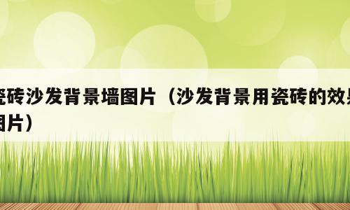 瓷砖沙发背景墙图片（沙发背景用瓷砖的效果图片）