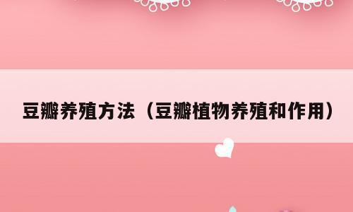 豆瓣养殖方法（豆瓣植物养殖和作用）