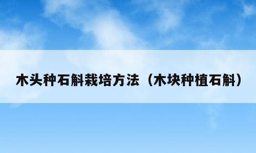 木头种石斛栽培方法（木块种植石斛）